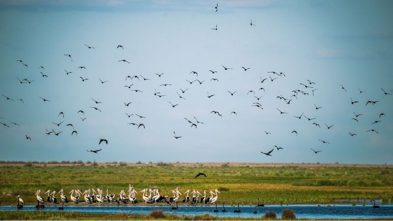 Impact investing in the Nari Nari Wetlands